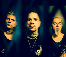 A.n.i.m.a.l new 1