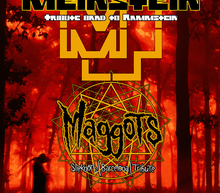 Cartel meinstein maggots