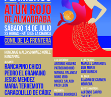 Cartel flamenco difusion definitivo
